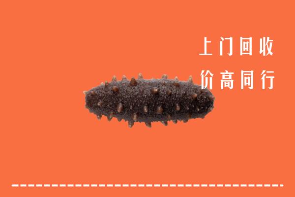高价求购：华容回收海参
